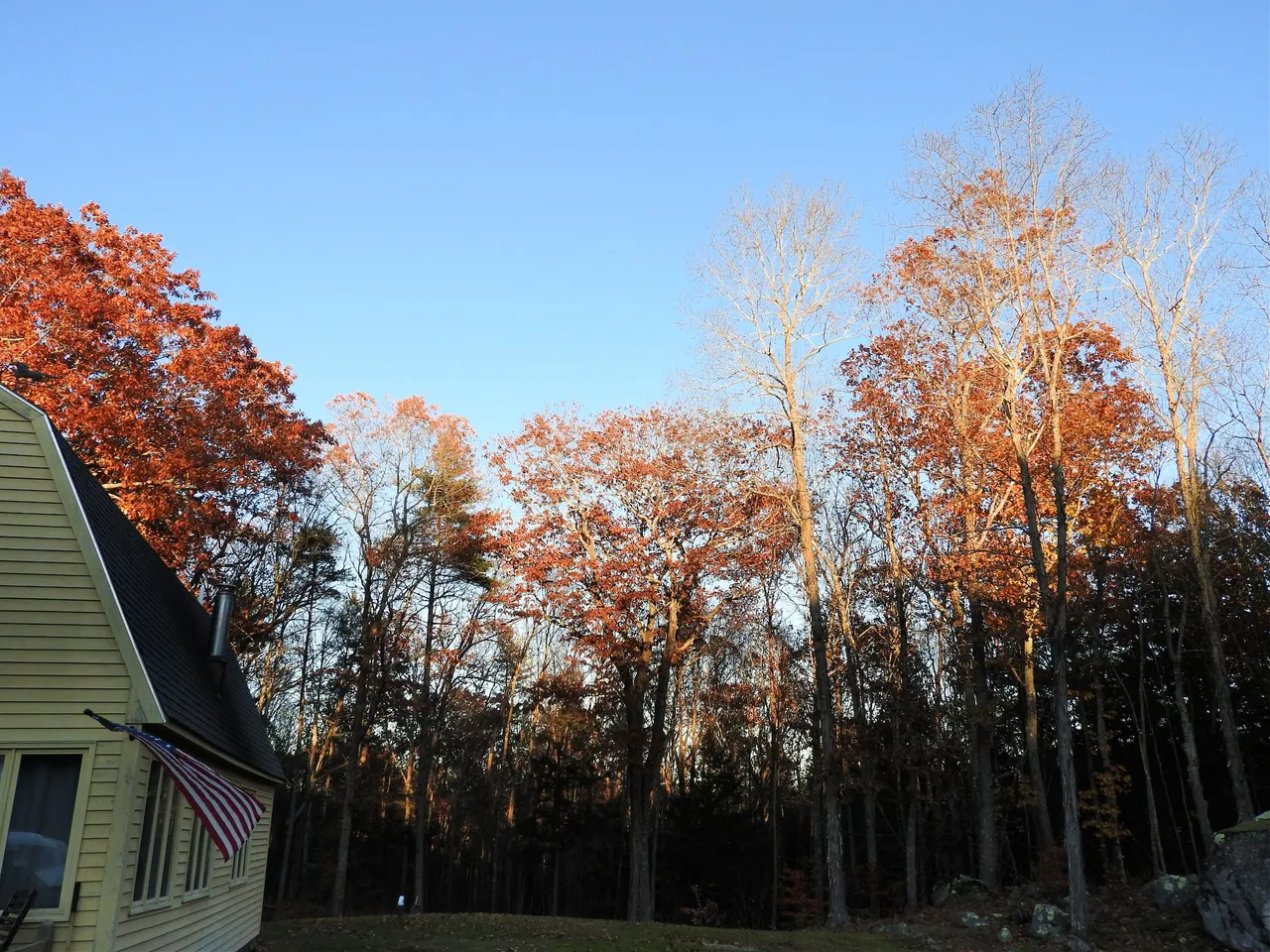 3. The Autumn Gloaming.jpg