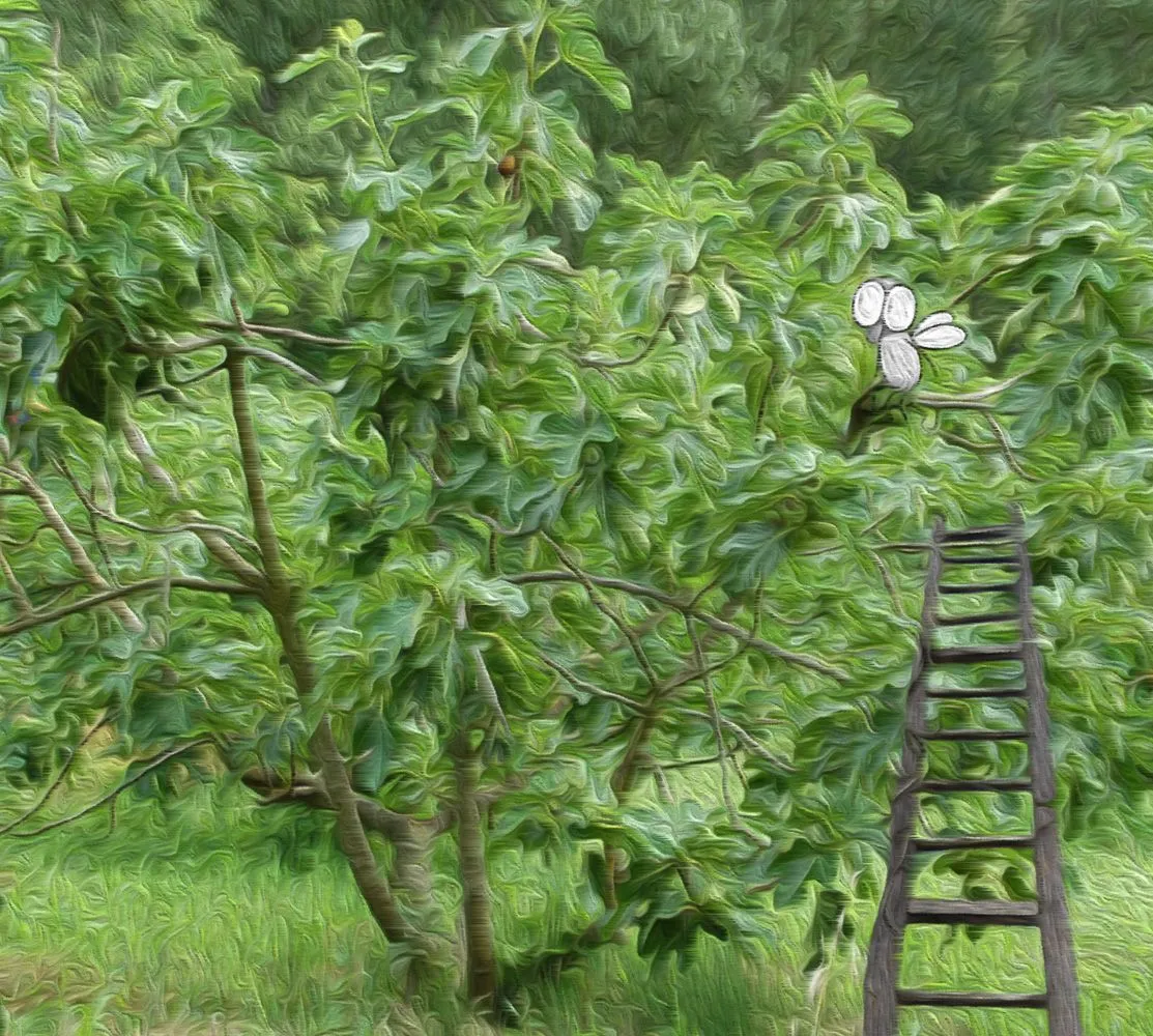 tree.jpg