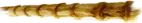 SEPARADOR TRONCO 2 @TRINABRIL.png