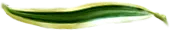SEPARADORHOJACINTApTRINABRIL.png