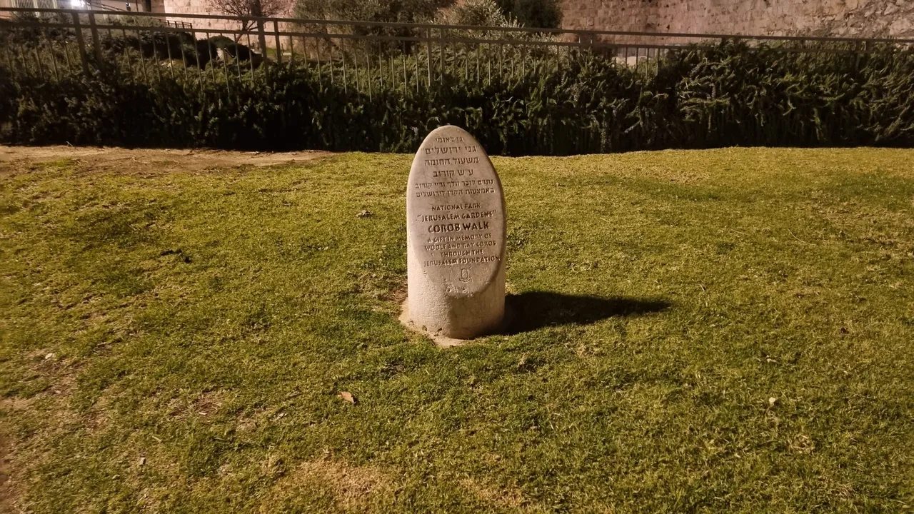 20230214_184646.jpg
