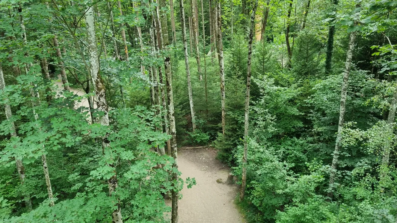 20230815_171135.jpg