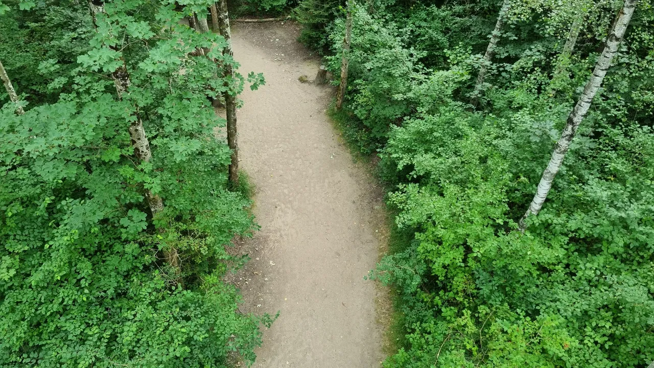 20230815_171133.jpg