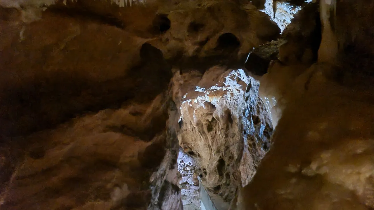 20220924_150133.jpg