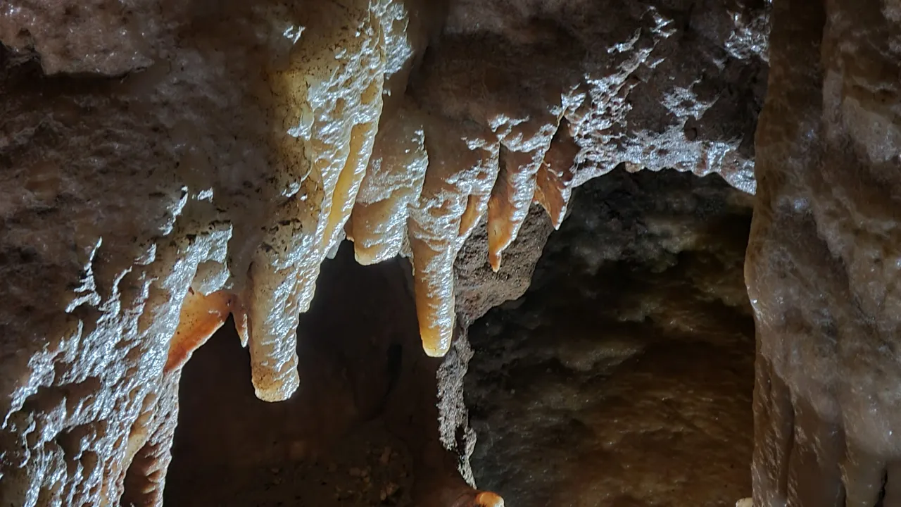 20220924_144859.jpg
