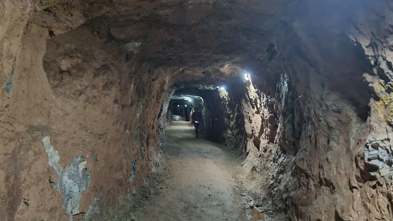 20220924_144410.jpg