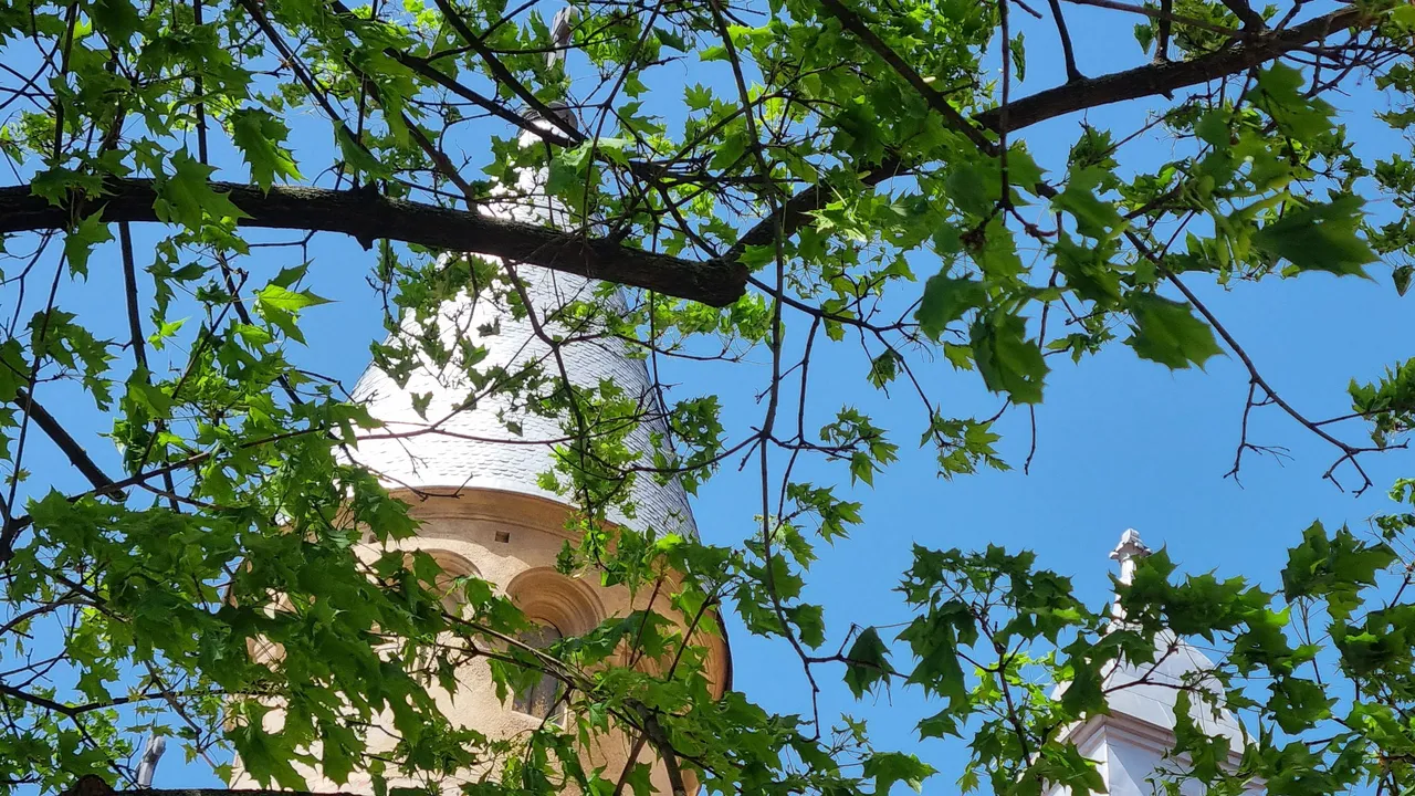 20250416_122640.jpg