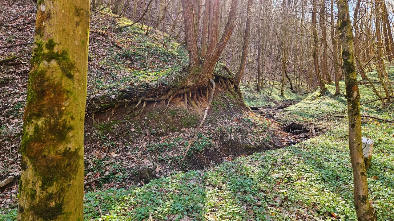 20250320_152902.jpg