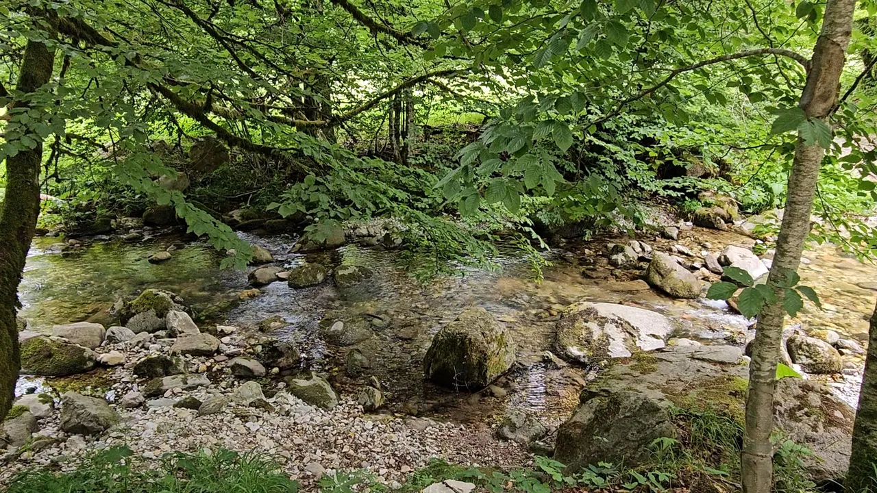 20250629_134109.jpg