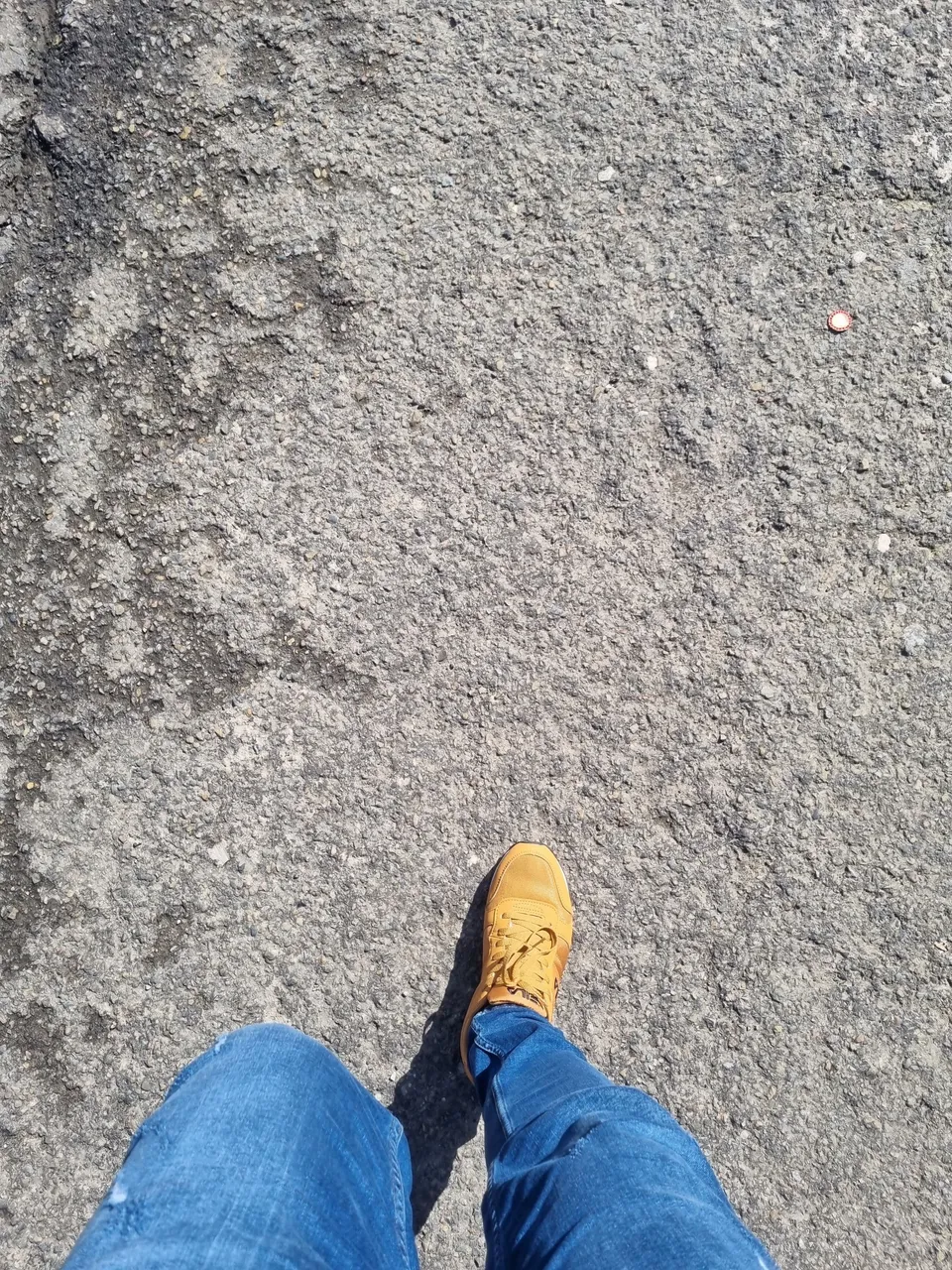 20230325_123524.jpg