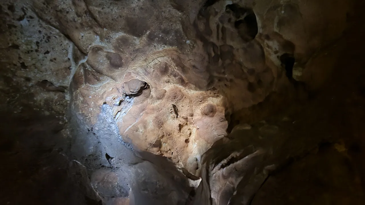 20220924_145151.jpg
