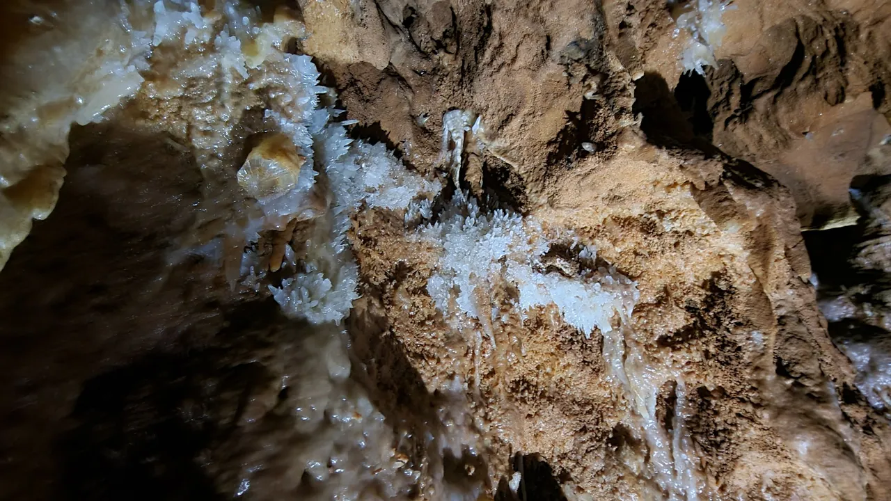 20220924_144832.jpg