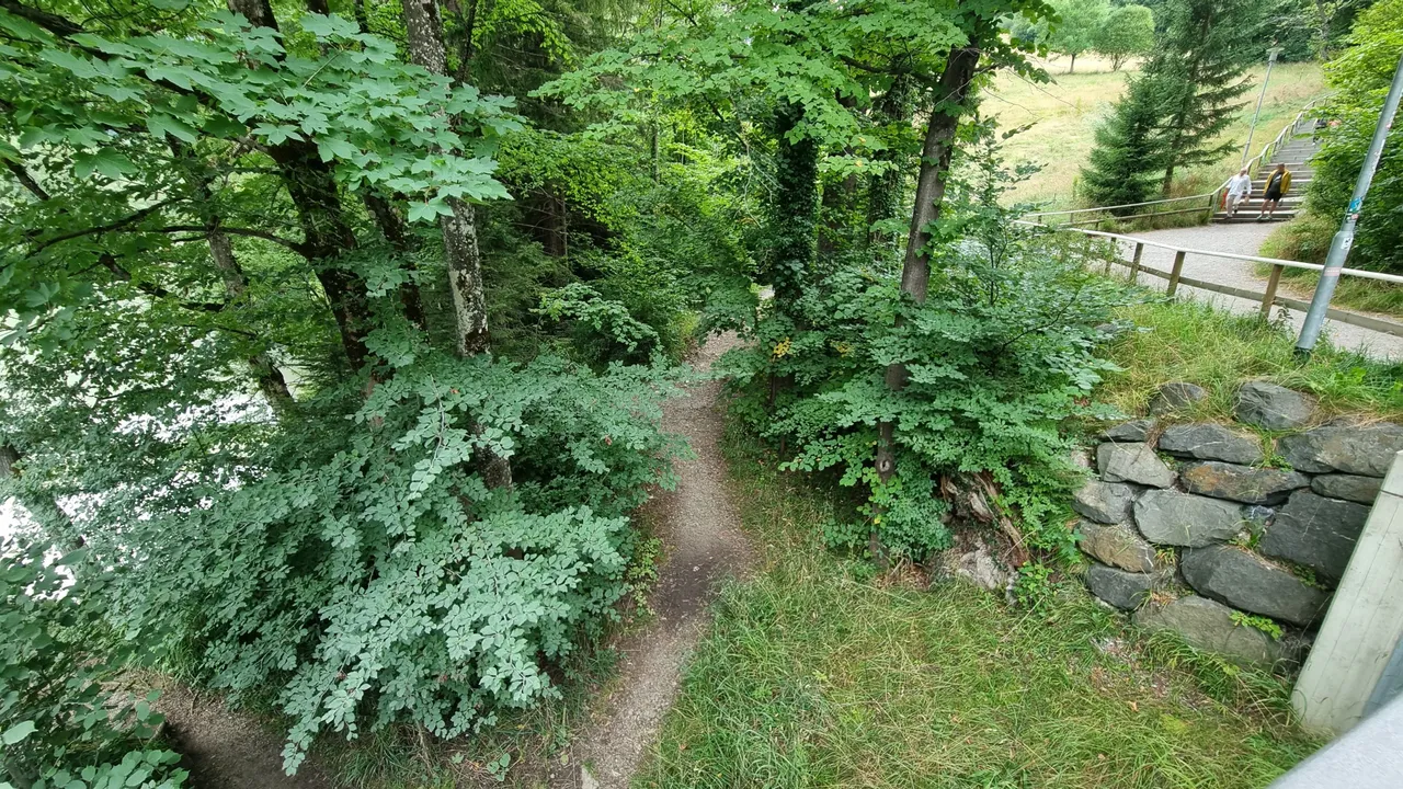 20230815_165455.jpg