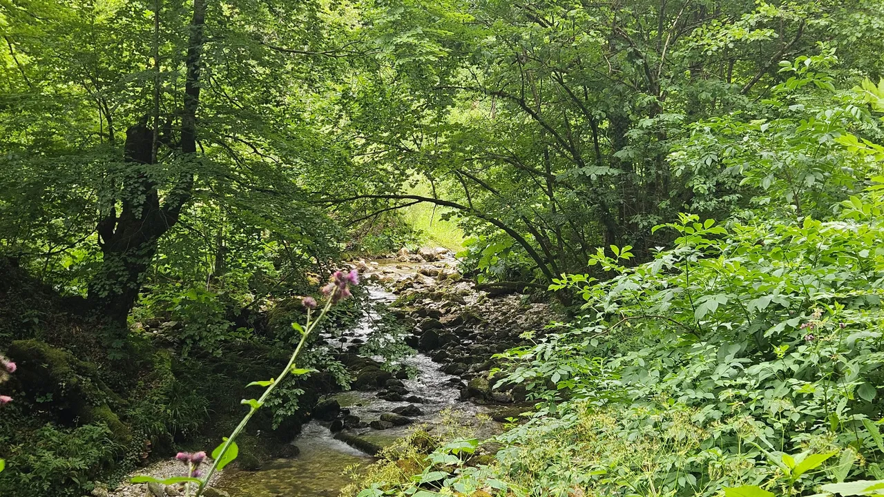 20250629_135113.jpg