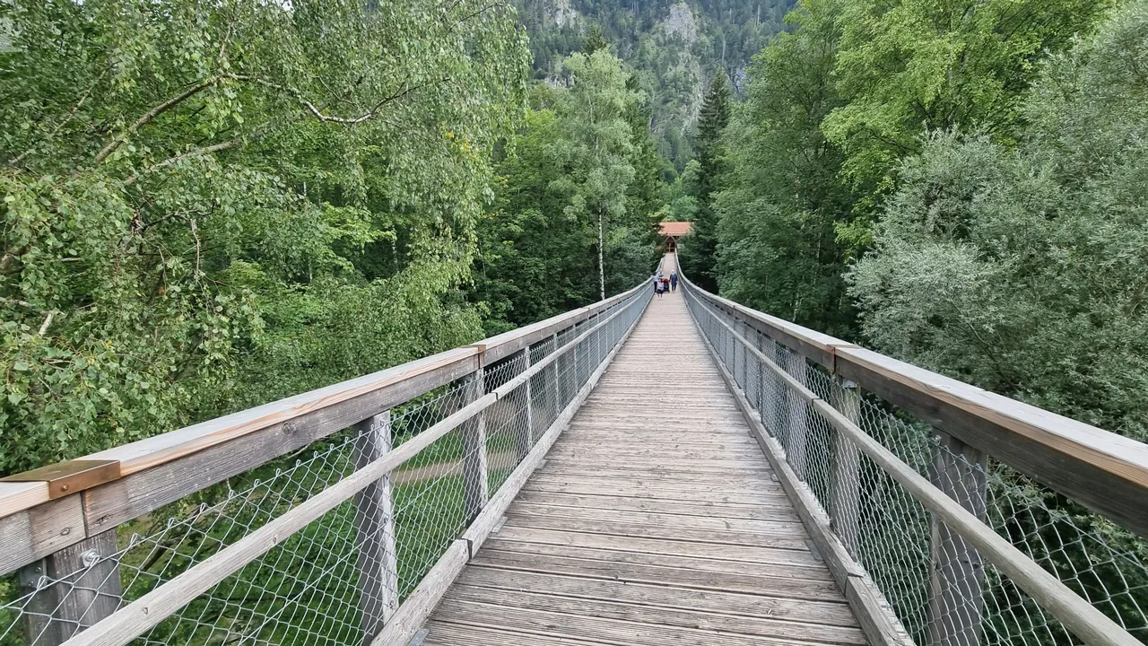 20230815_171224.jpg