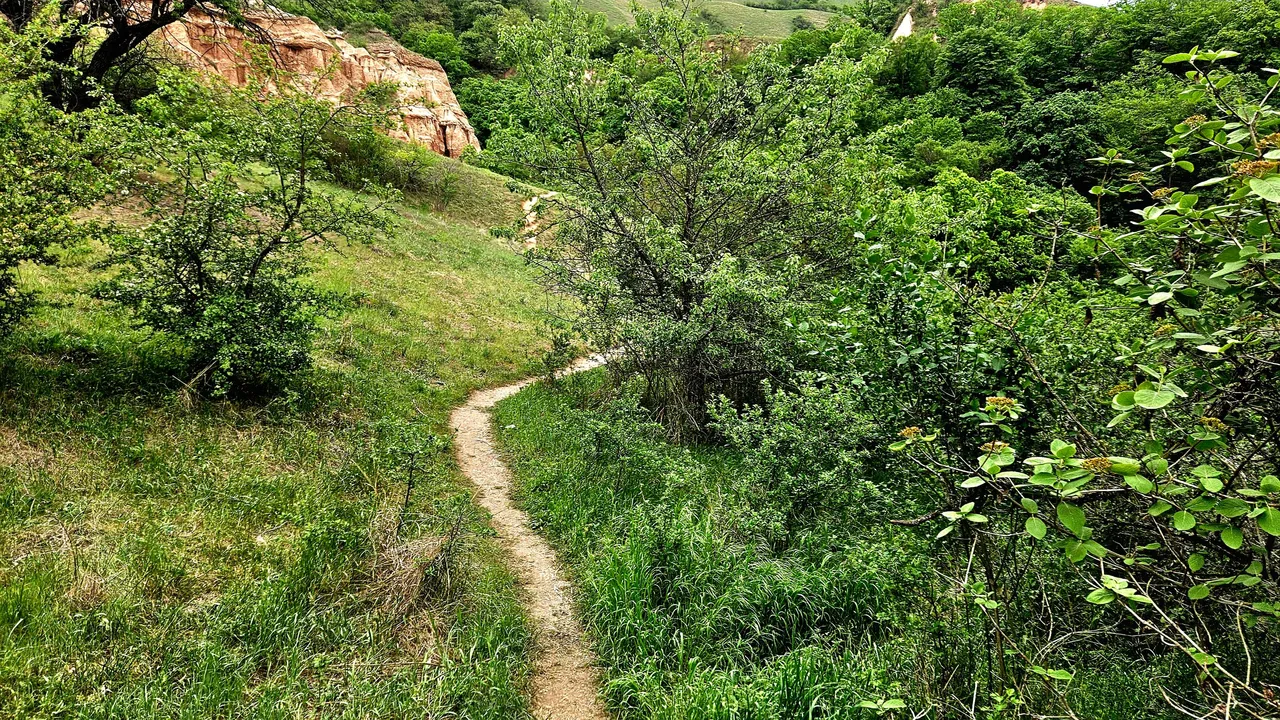 20250502_181804.jpg
