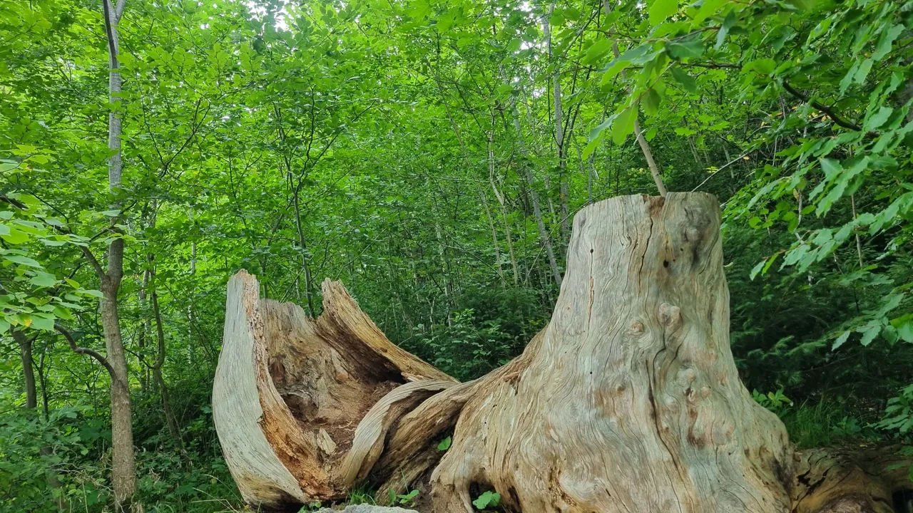 20230815_165427.jpg