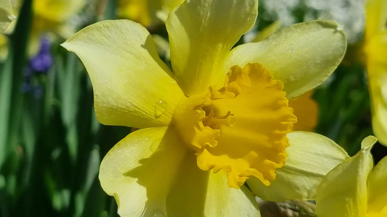 20240317_125901.jpg