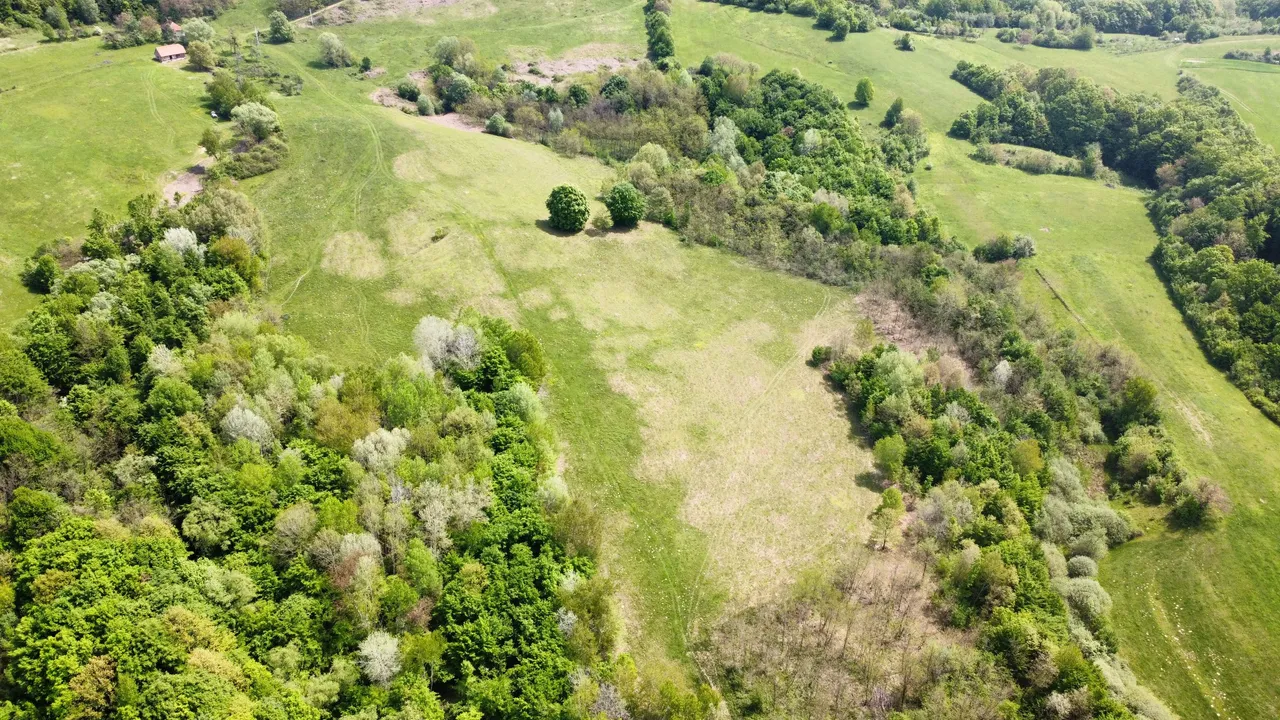 dji_fly_20230506_124212_153_1684064625832_photo_optimized.jpg