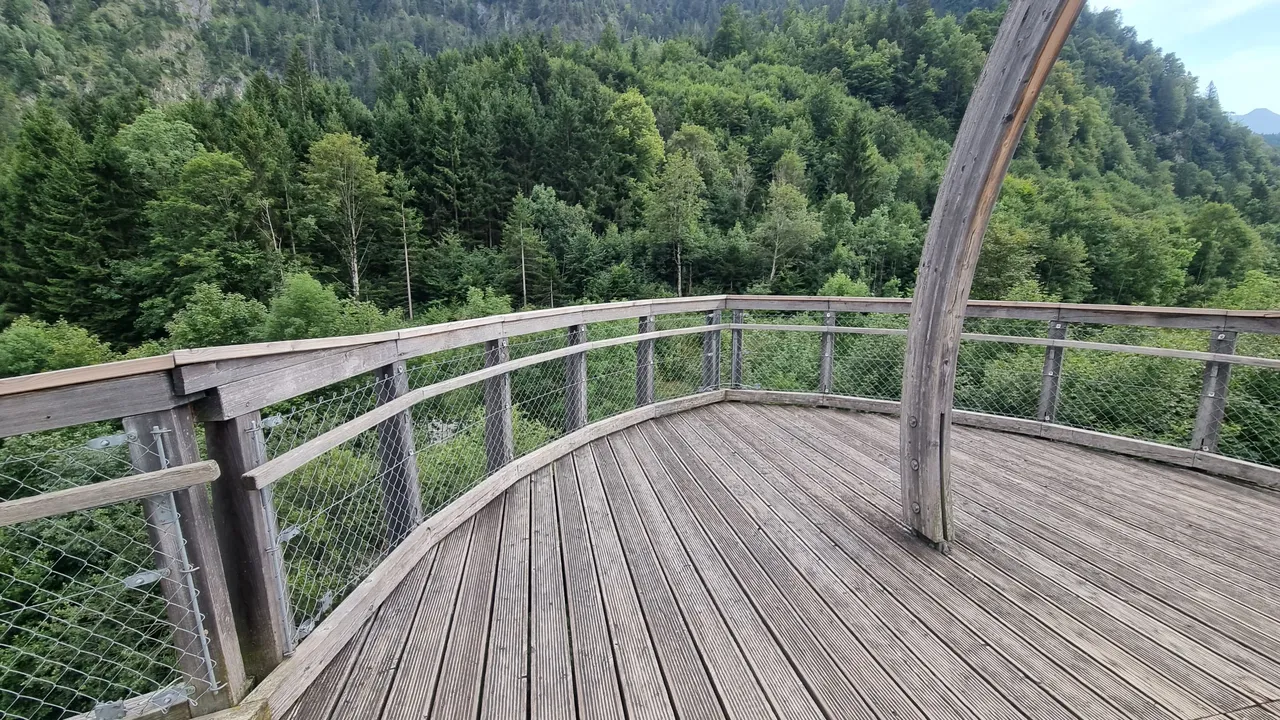 20230815_172156.jpg