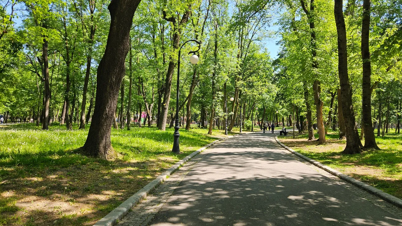 20250424_140530.jpg