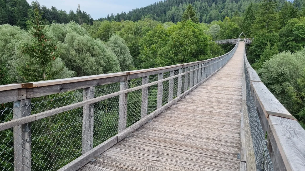 20230815_172401.jpg