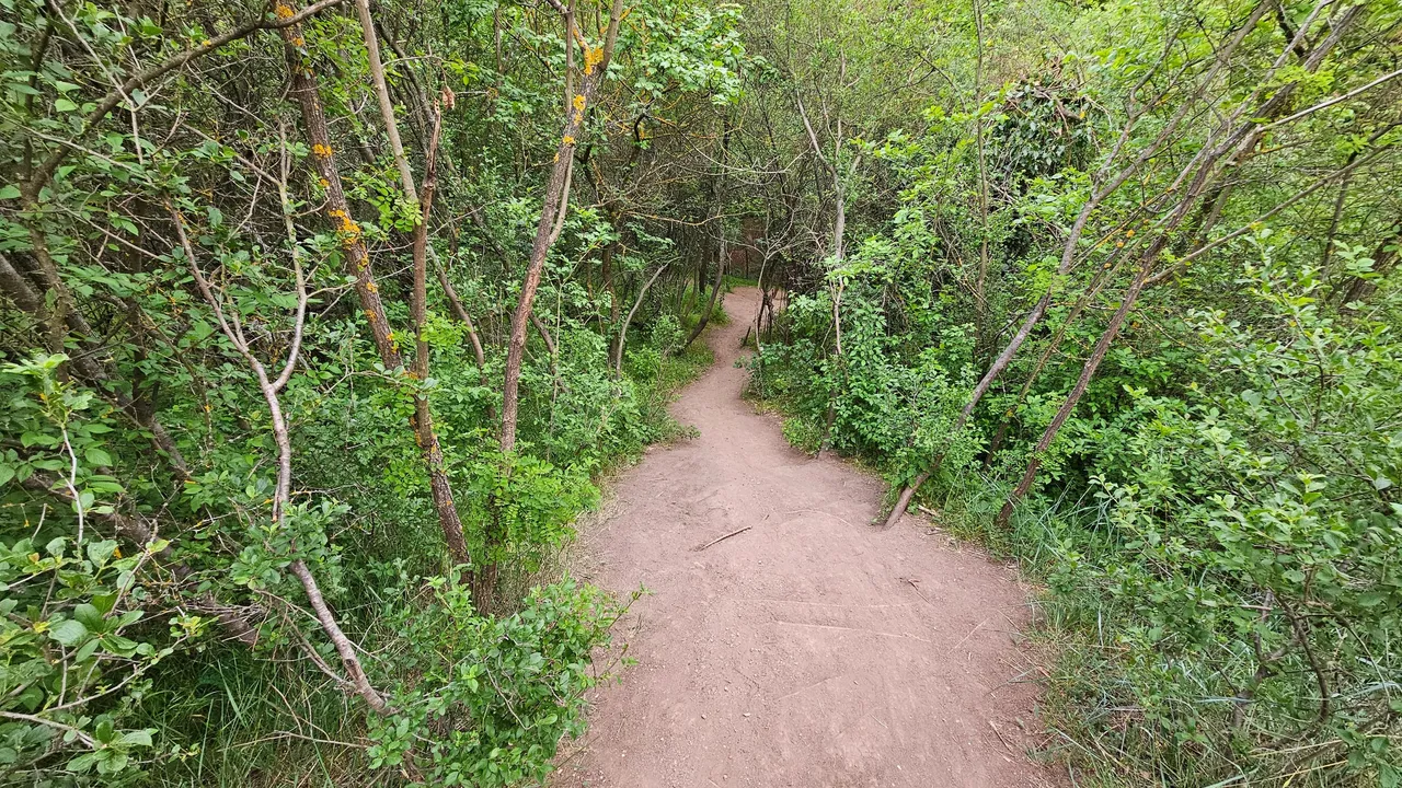 20250502_180029.jpg