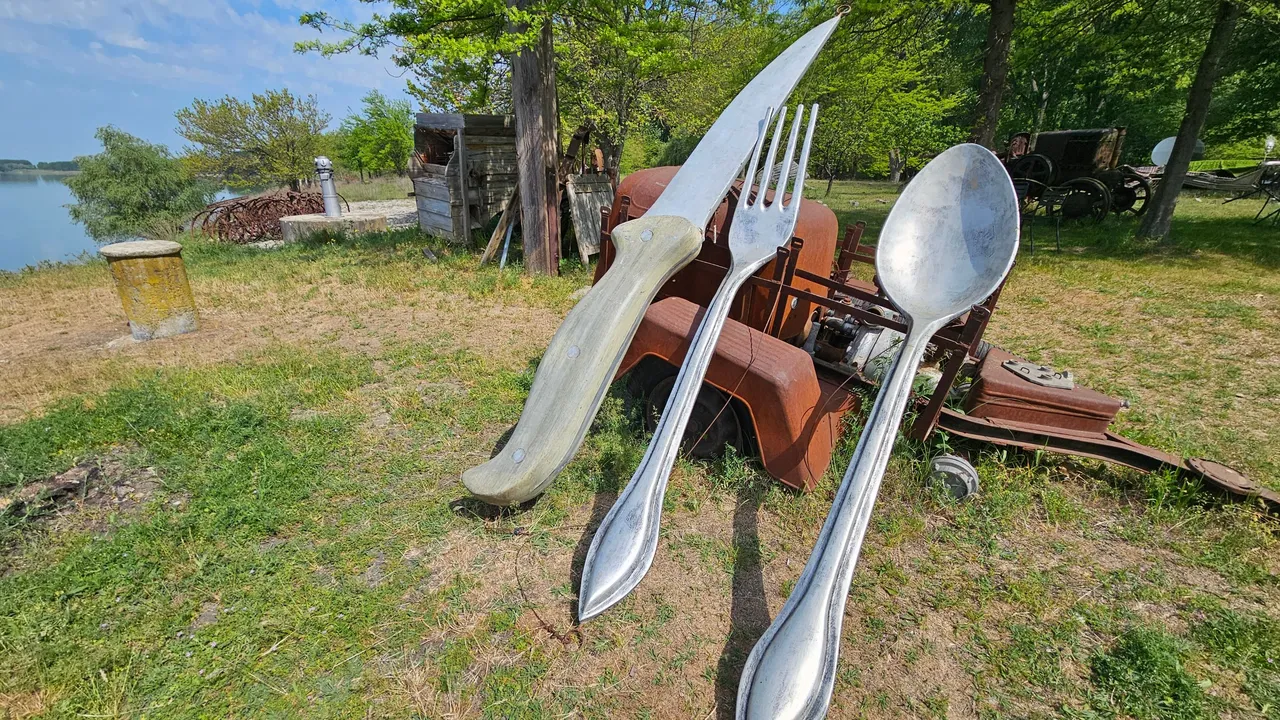 20250426_113643.jpg
