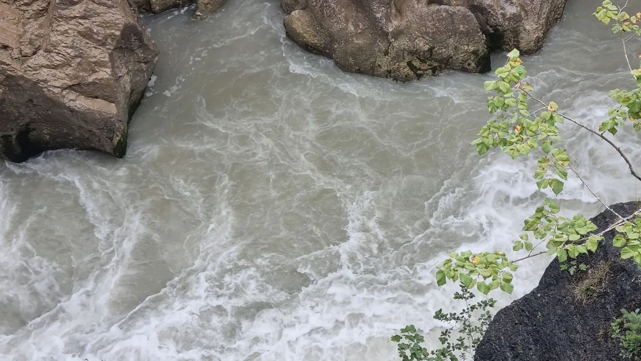 20230815_164933.jpg