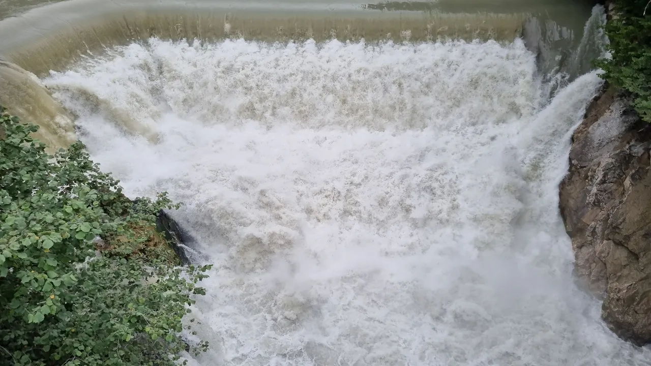 20230815_165222.jpg