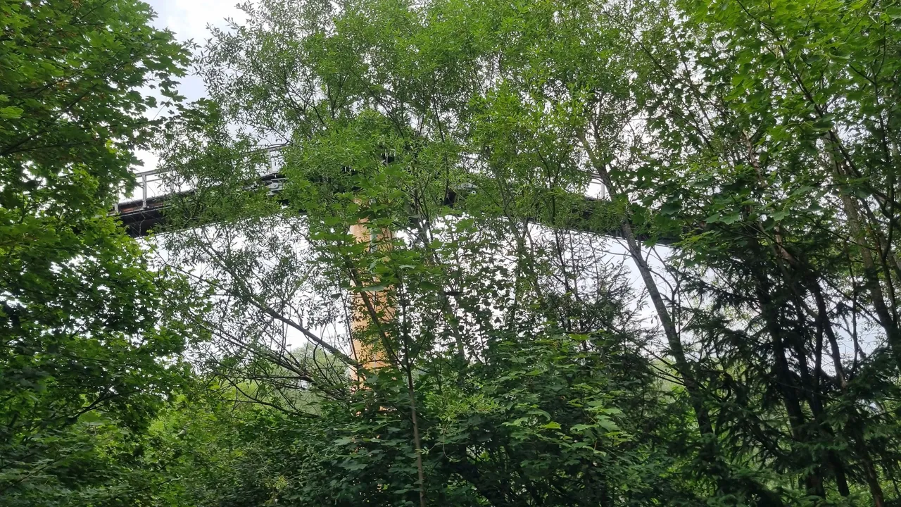 20230815_173737.jpg