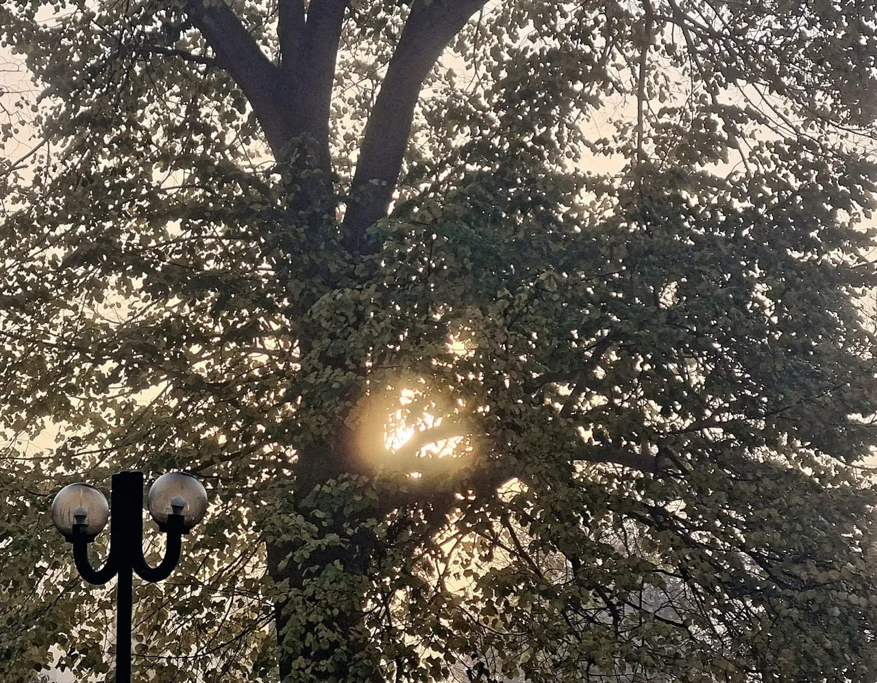 20221108_080805.jpg
