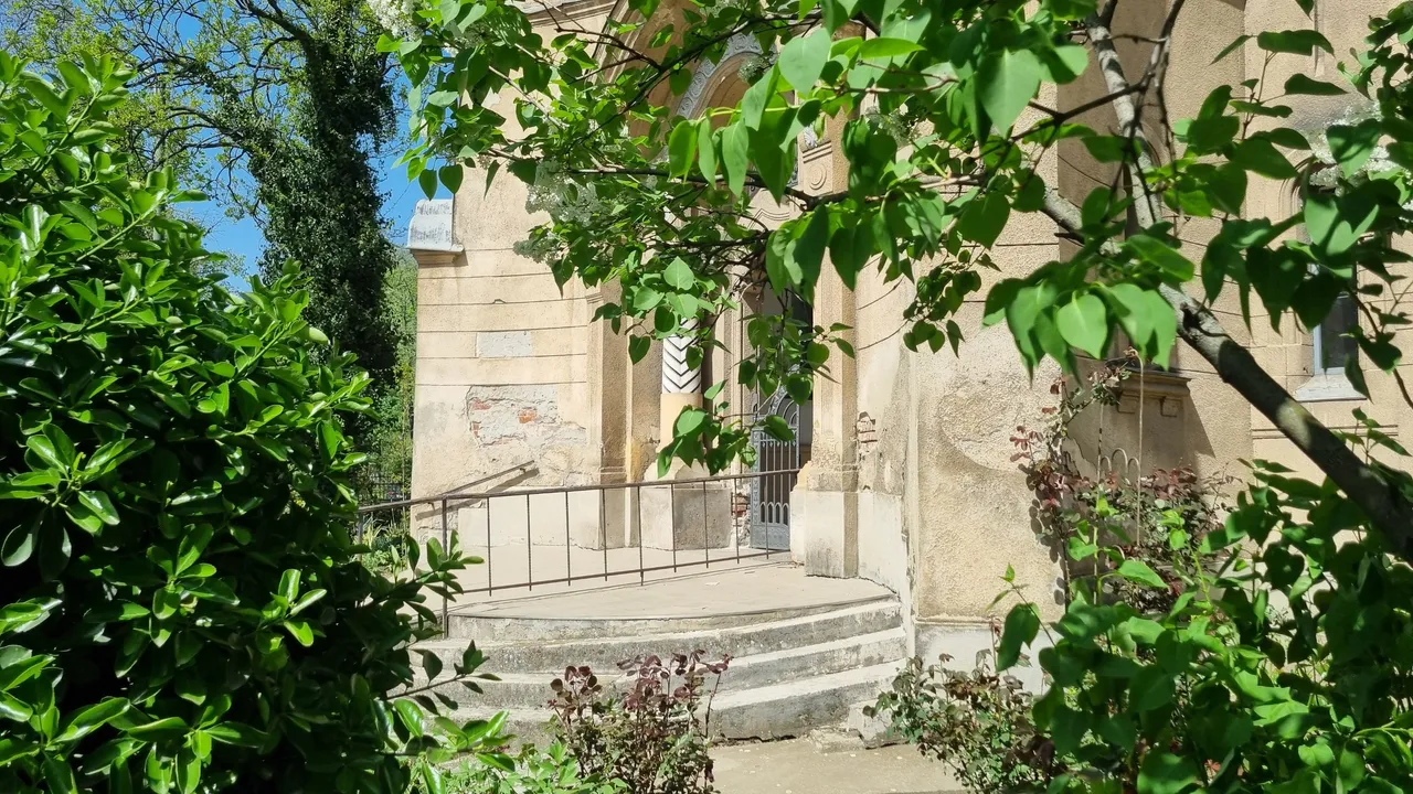 20250416_122552.jpg