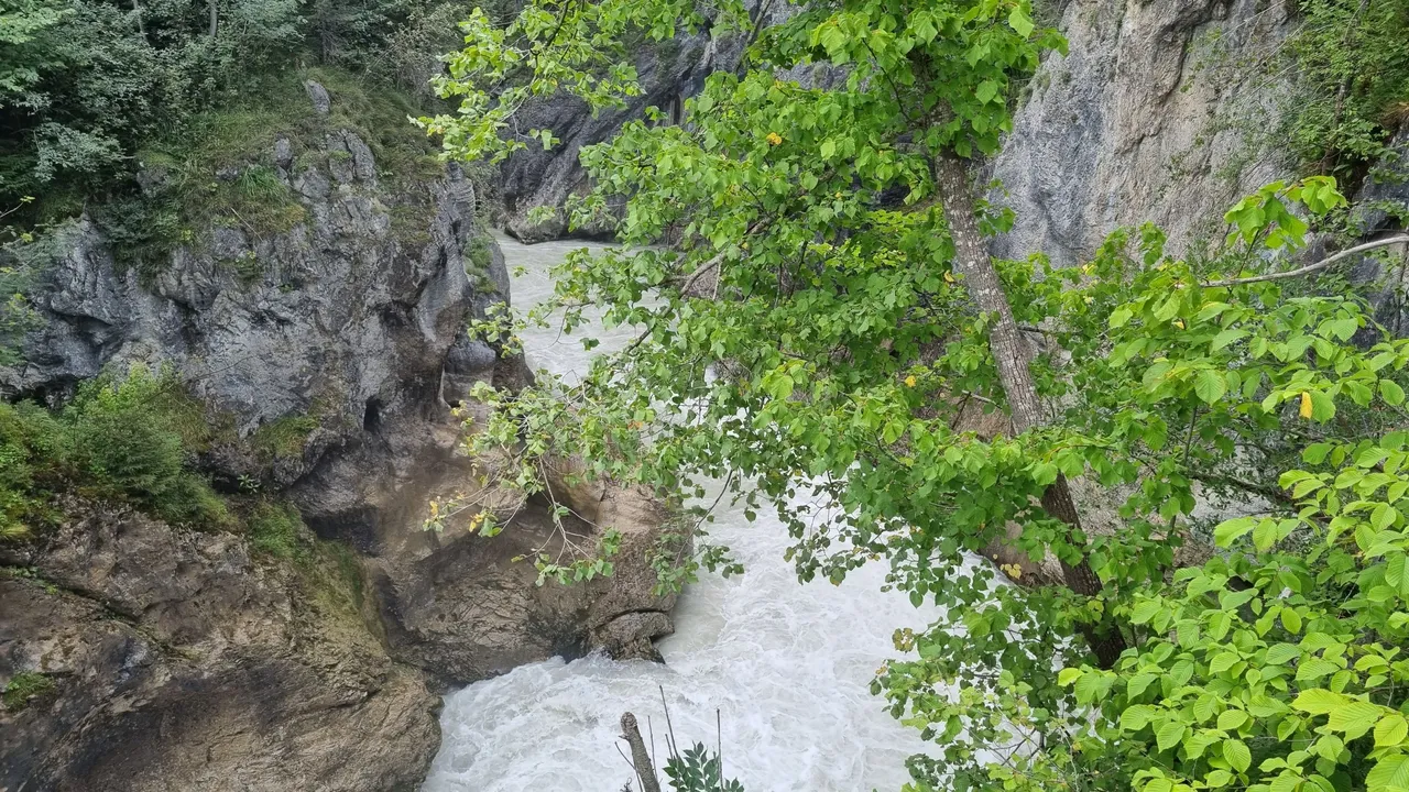 20230815_165148.jpg