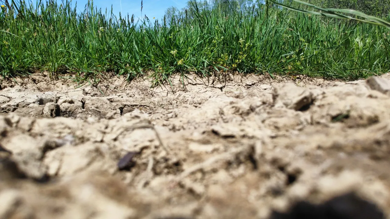 dji_fly_20230506_125750_167_1684065107417_photo_optimized.jpg