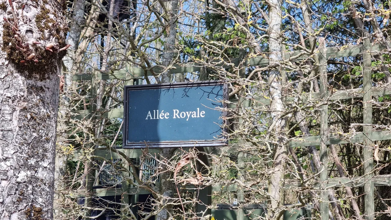 20220321_131644.jpg