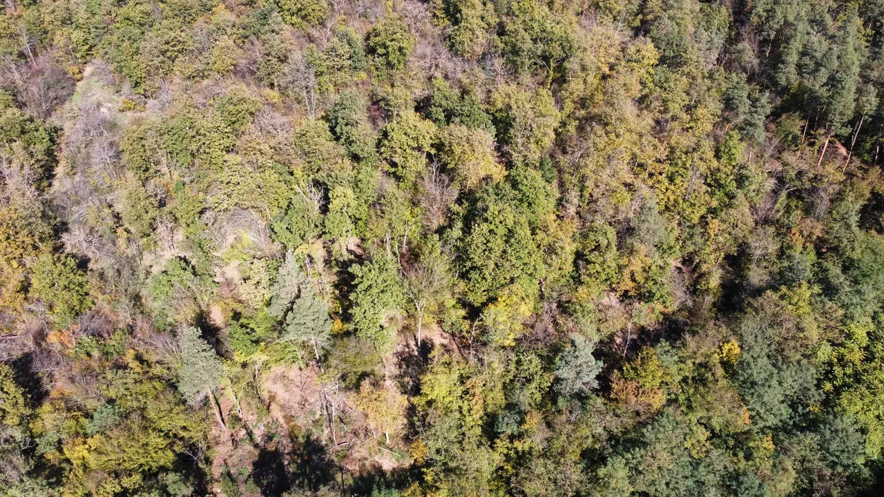 dji_fly_20241020_144540_931_1729451357996_photo_optimized.jpg