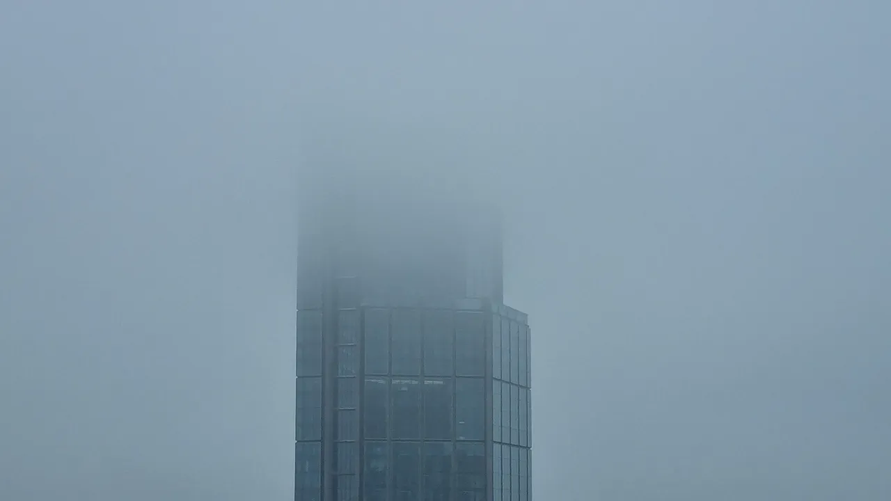 20231202_111435.jpg