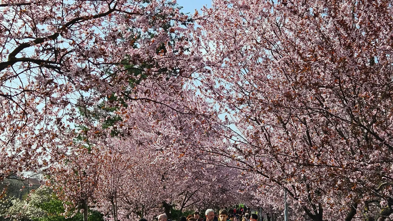 20250323_152322.jpg