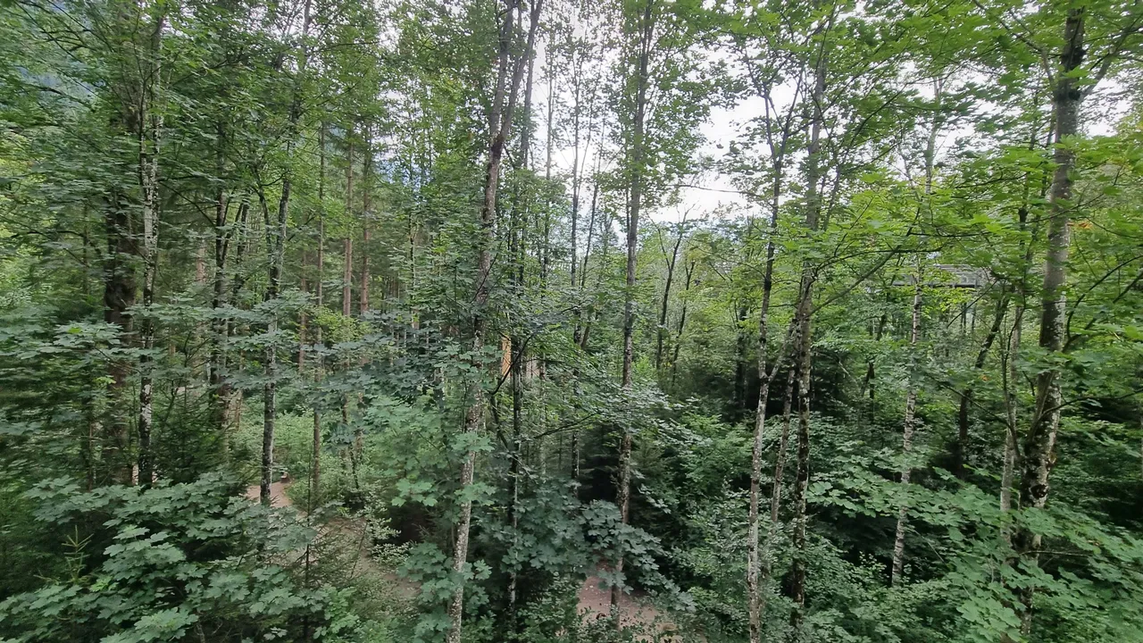 20230815_171104.jpg