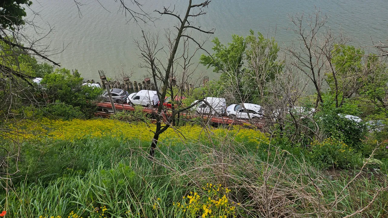20250424_100204.jpg