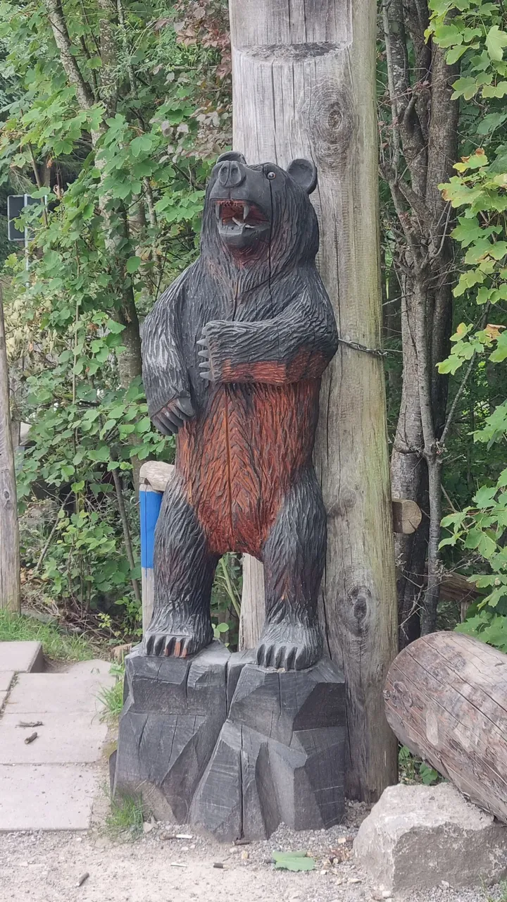 20230815_175045.jpg
