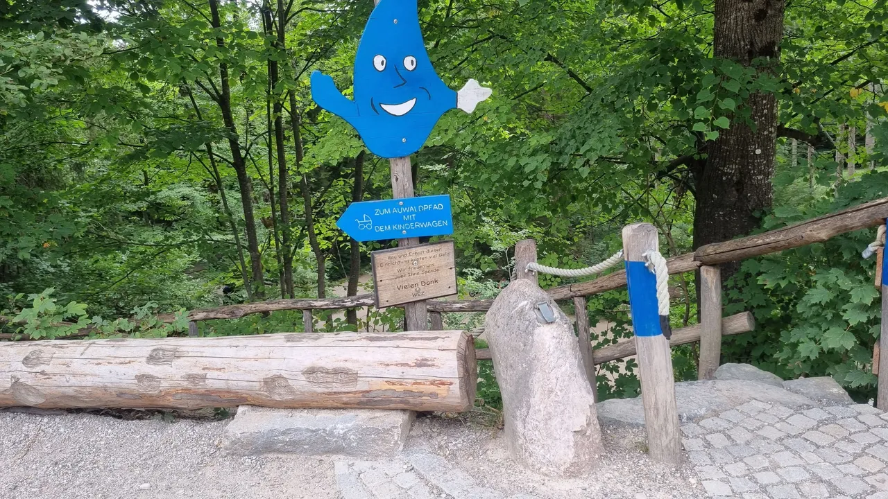 20230815_175057.jpg