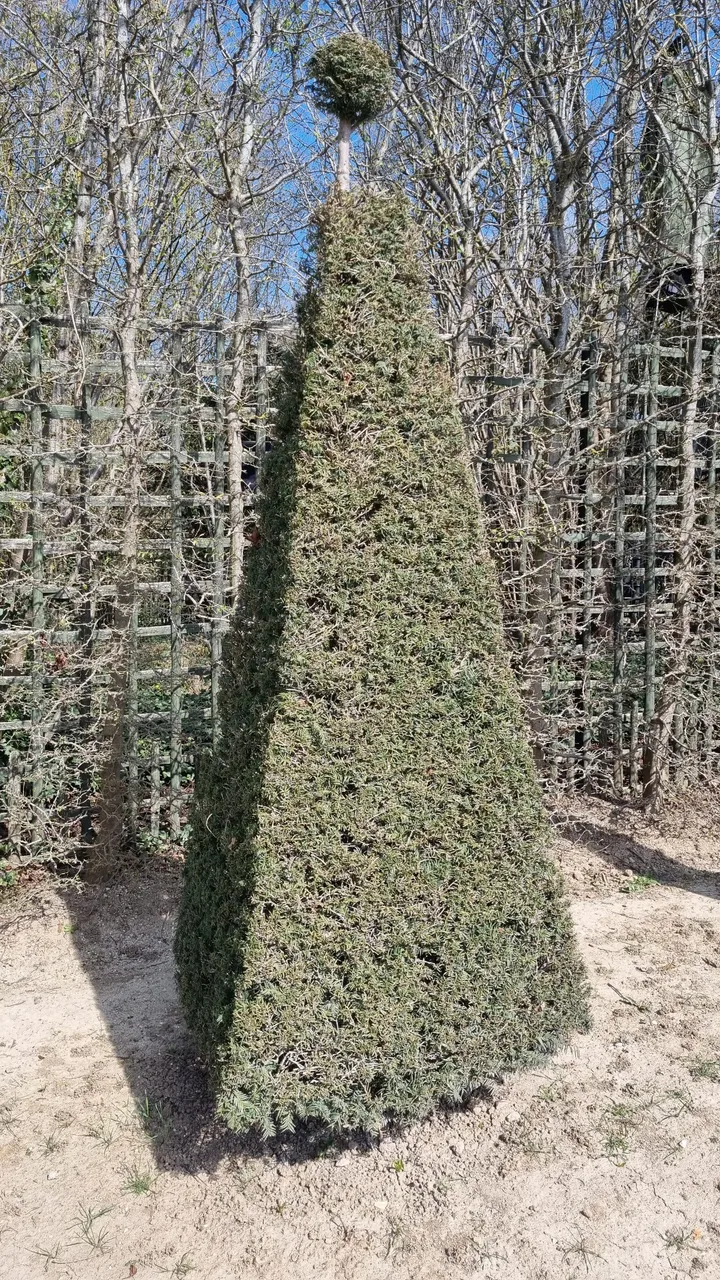 20220321_131712.jpg