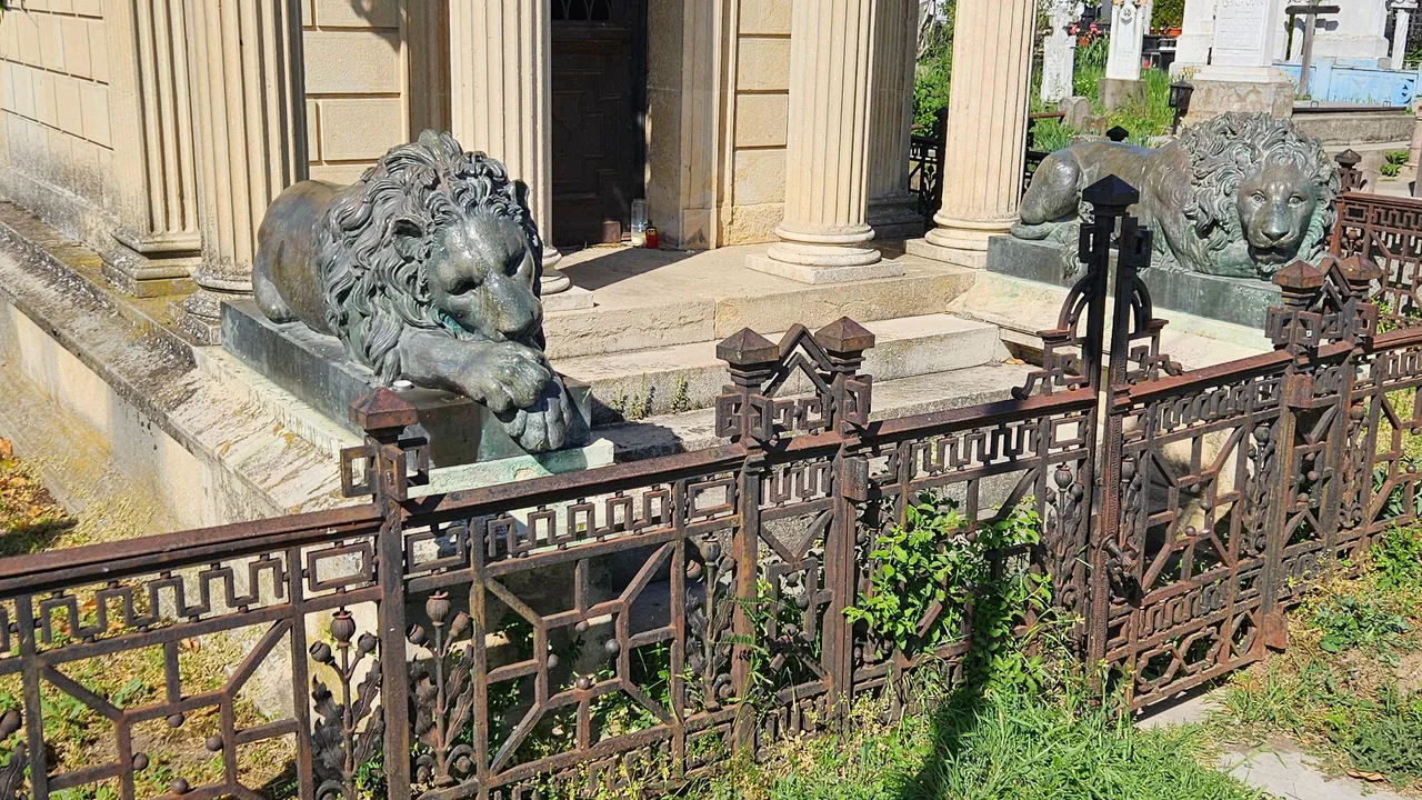 20250424_161830.jpg