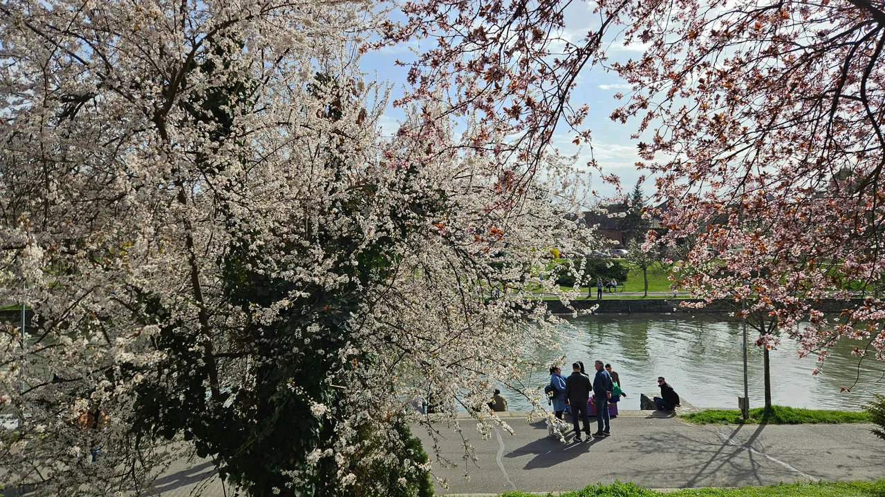 20250323_152051.jpg
