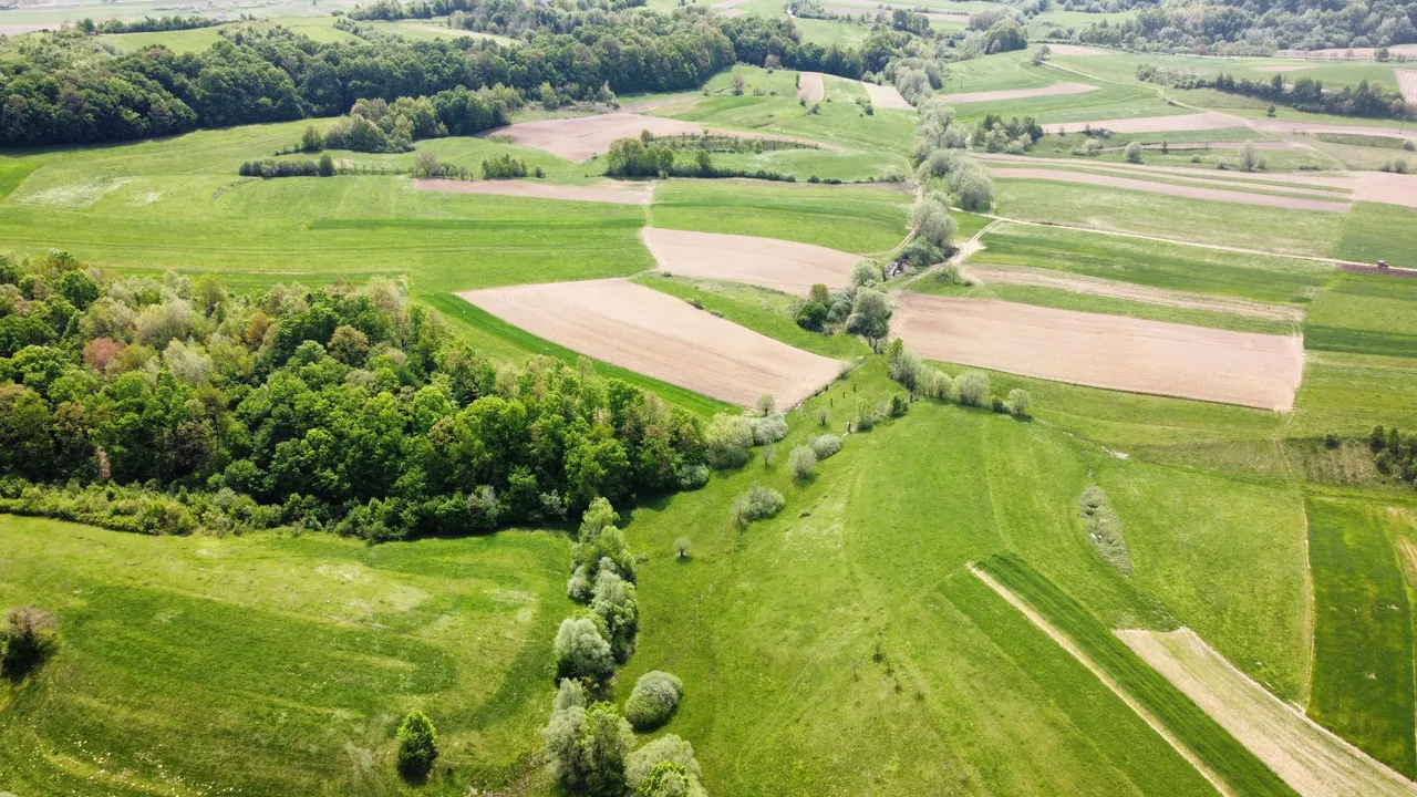 dji_fly_20230506_124158_151_1684064619105_photo_optimized.jpg