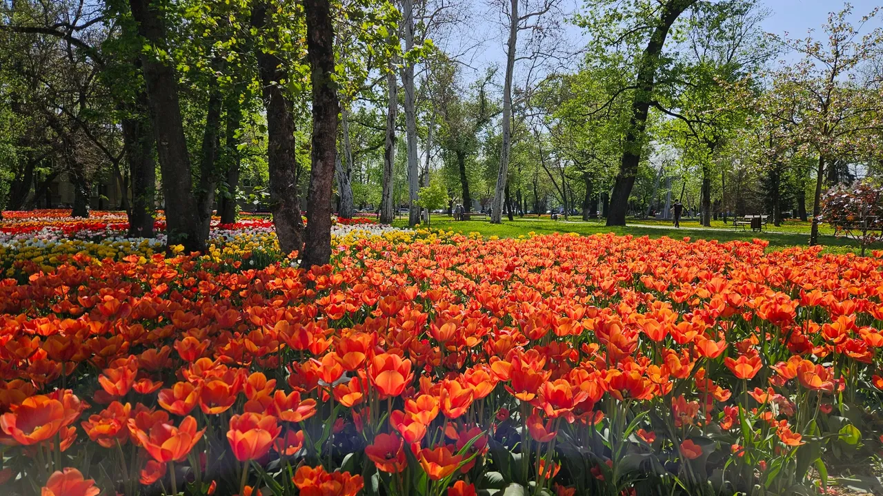 20250416_114938.jpg