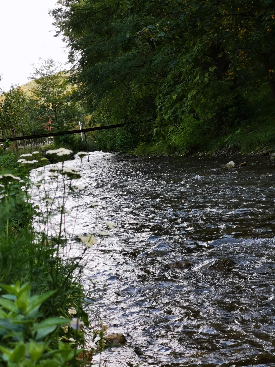 IMG_20220924_140927.jpg