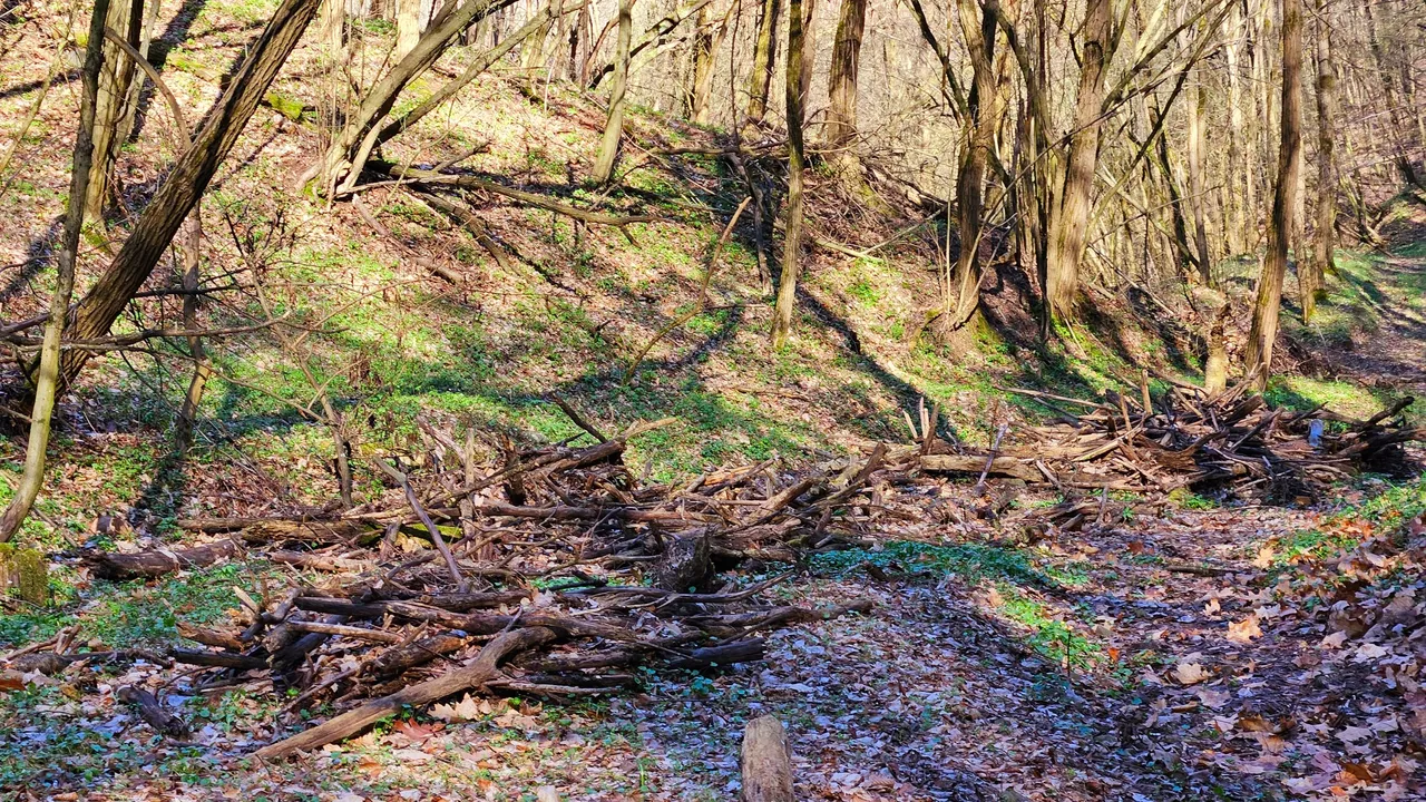 20250320_153013.jpg